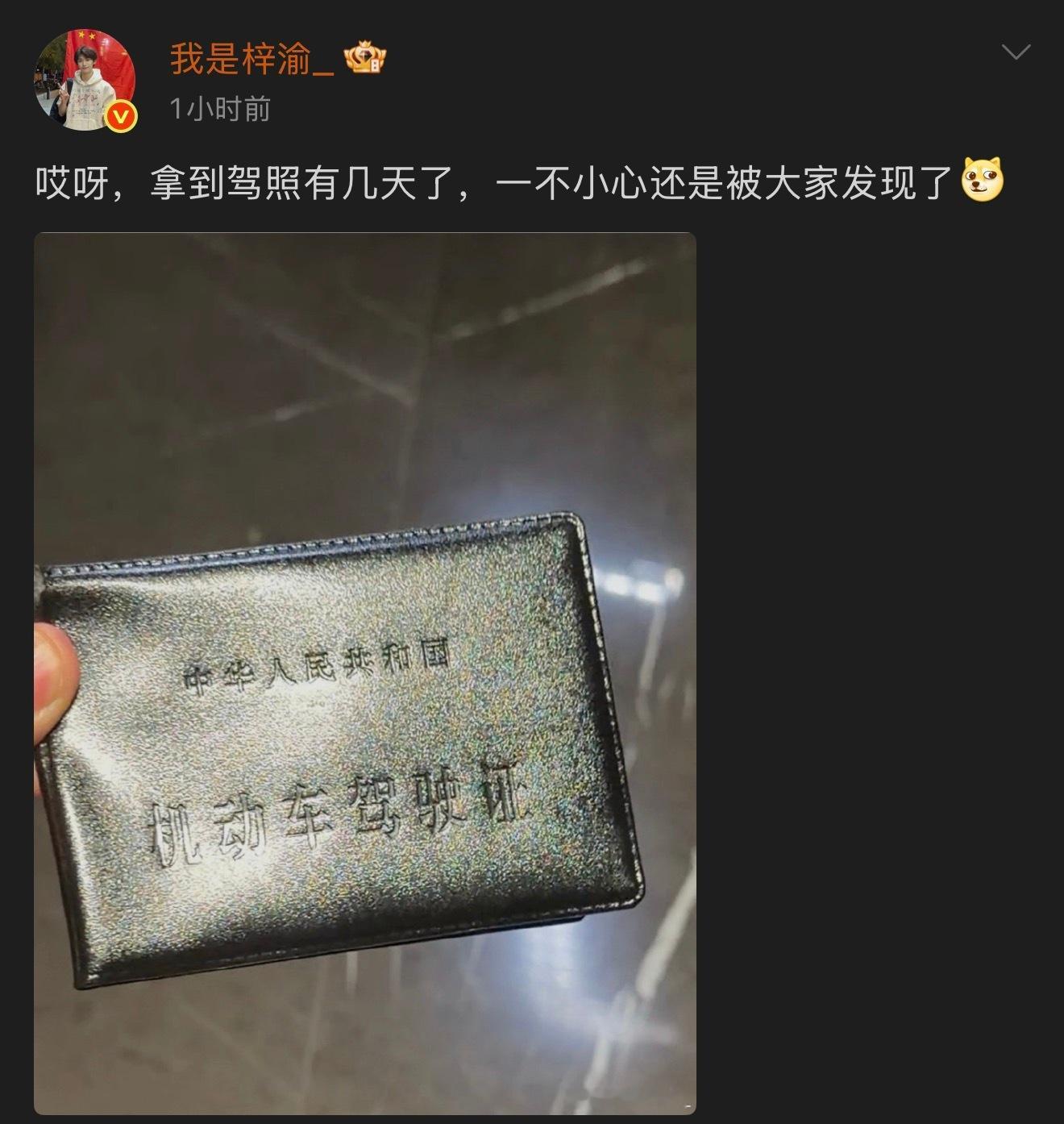 梓渝演我拿到驾照恭喜梓渝拿到驾照，好可爱好萌