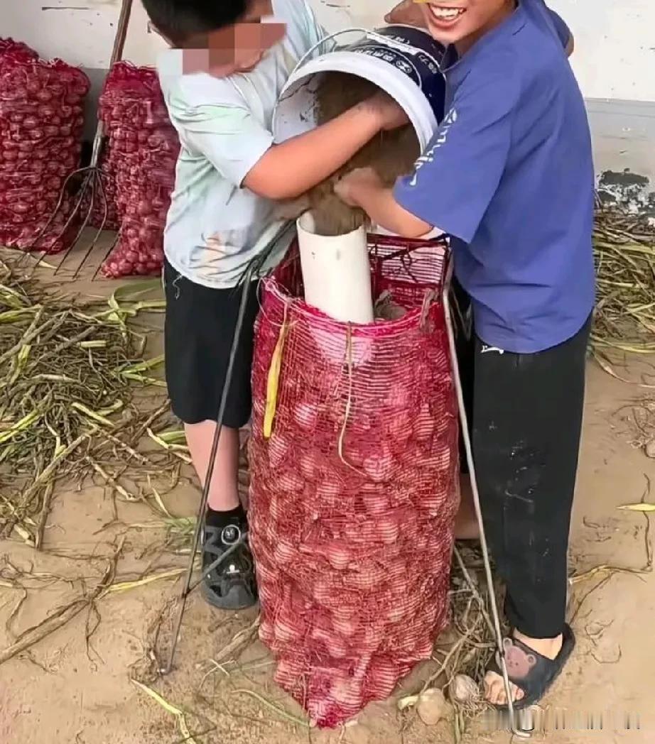 不知道这是什么地方？从小就这样培养孩子，真的对得起祖宗啊，也是让孩子明白了土和蒜