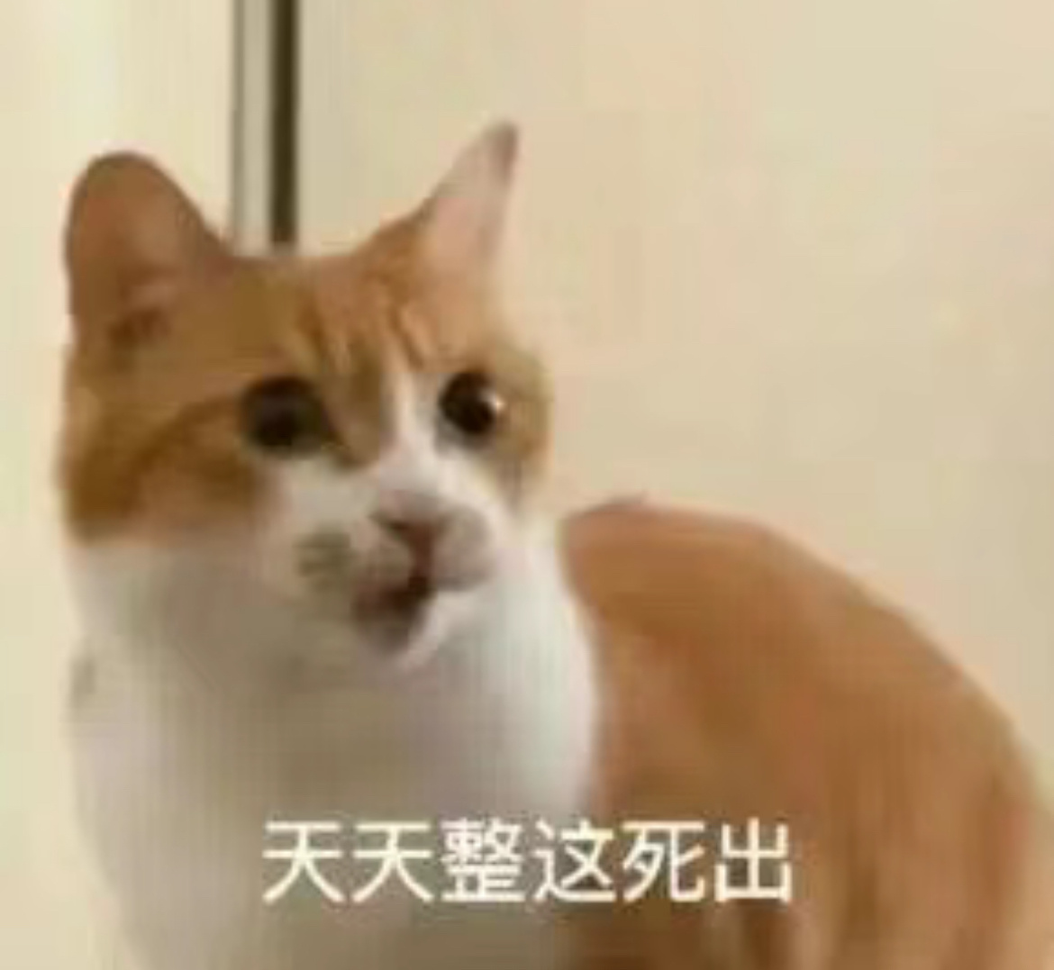 2026真的是妈妈年了。健身房被小年轻搭讪。一看就是撑死了二十岁的小男生，我摆摆