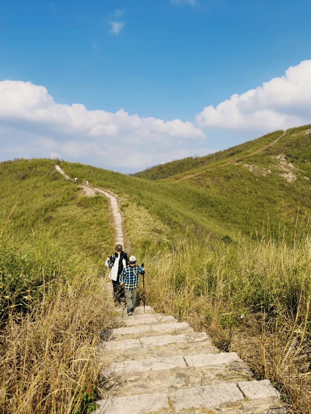 江浙沪徒步|杭州小武功山❗️鸬鸟山3️⃣条路线