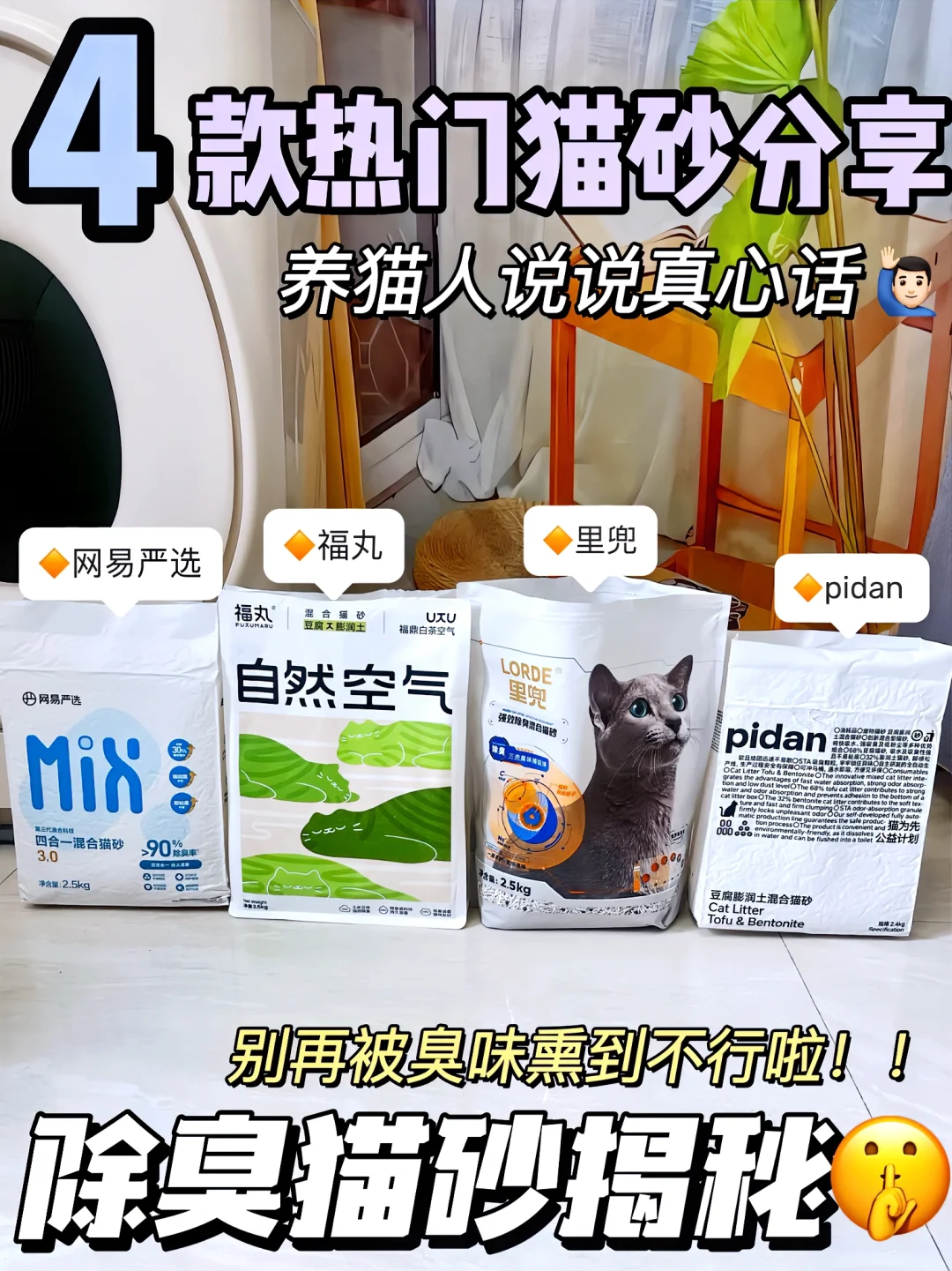 还在被猫💩臭味熏的不行？来看除臭猫砂揭秘