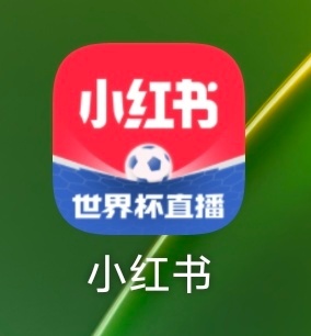 世界杯 小红书这把很自豪啊，APP图标已经打上世界杯直播的广告了。这届世界杯有点
