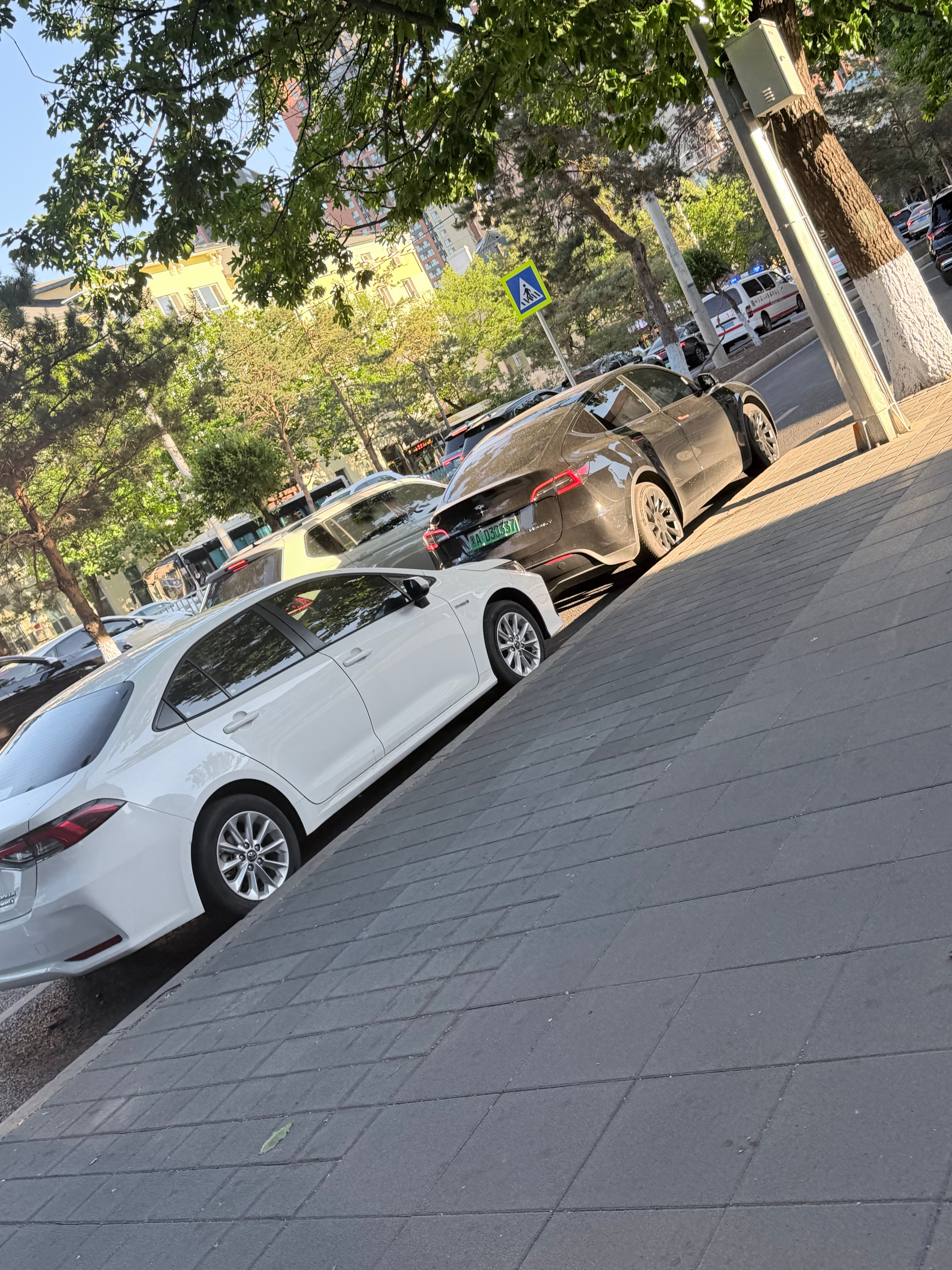五月份就上到这里吧