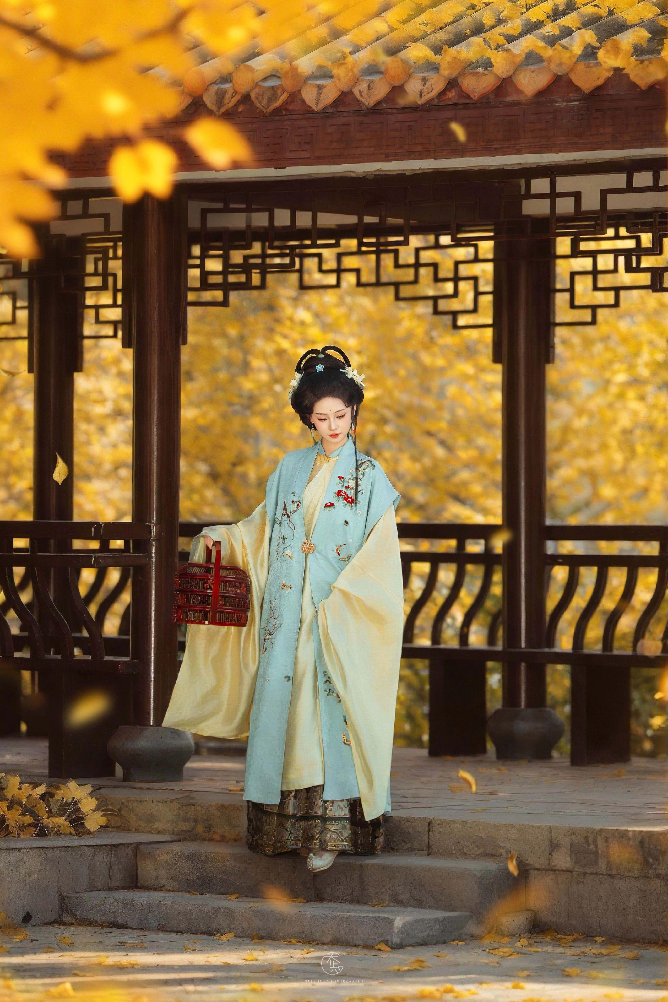 明制汉服“风吹一片叶，万物已惊秋”🍂。