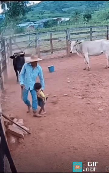 黑牛:你还进来玩了！
白牛:你是不想活了！
白牛看出了黑牛不怀好意，提前跑去逼退