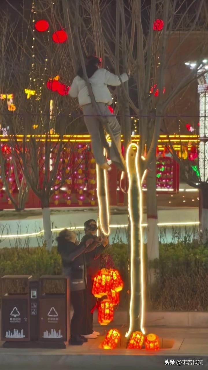 真不害臊！树上的灯笼也偷！还爬到树上去了！树下两名女子接应。

没想到帽子叔叔就