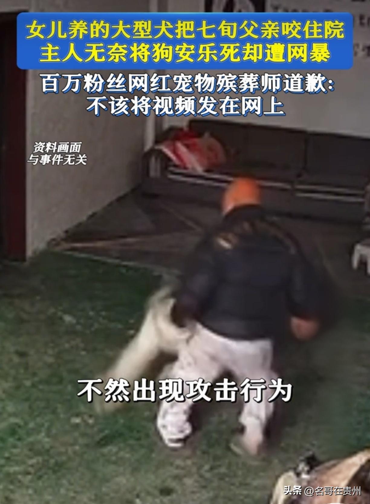 百斤爱犬咬伤老父缝10针，主人含泪安乐死，反被骂上热搜！

江苏的王女士，这几天