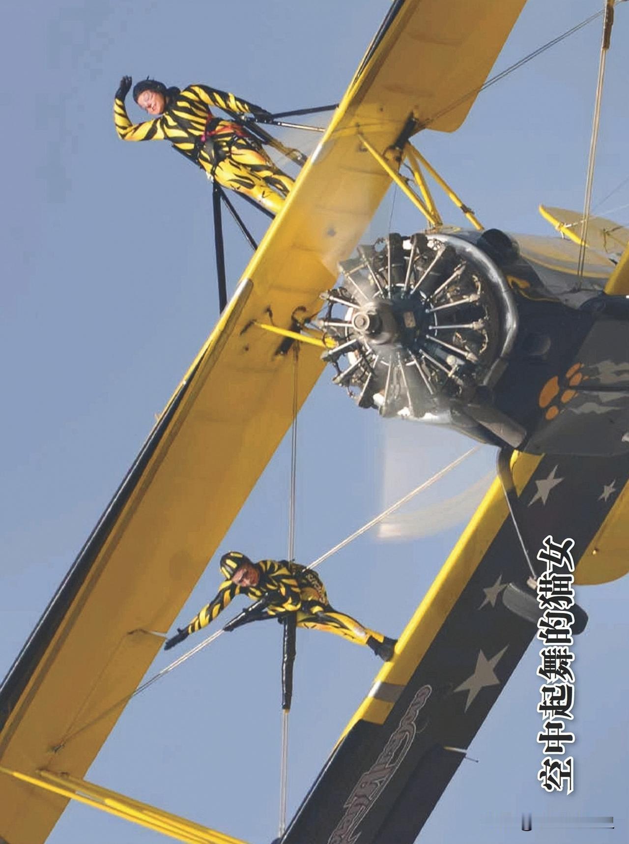 空中起舞的猫女