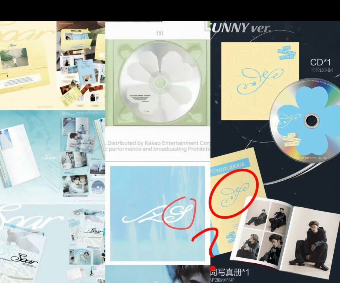 🍉 网红孙恩盛首张实体专辑疑似抄袭NCT，四叶草元素高度相同引争议，目前暂无回