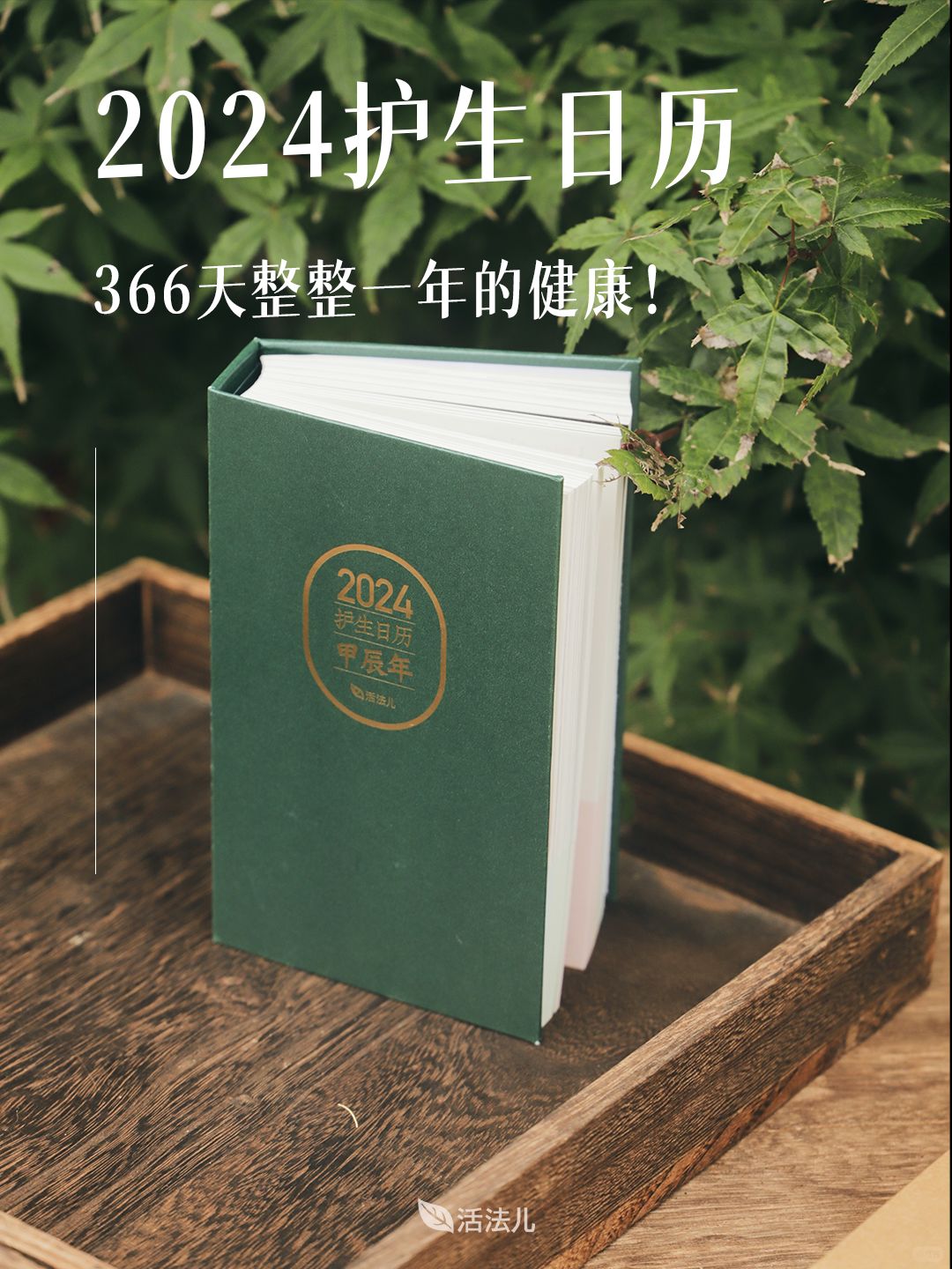 2024年人手一本的养生日历即将售空！