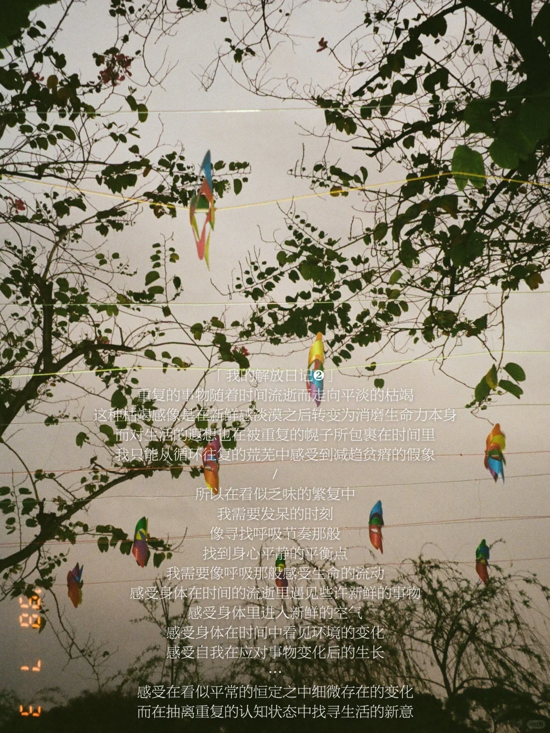 重复的、变化的、乏味的，找寻着生活的新意。