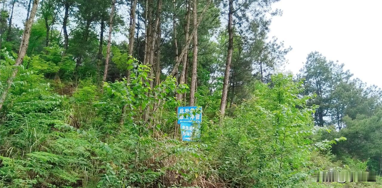 五一节过后，第一天上班就加大马力，对山体容易滑坡的地段进行安全巡查。

在我们这