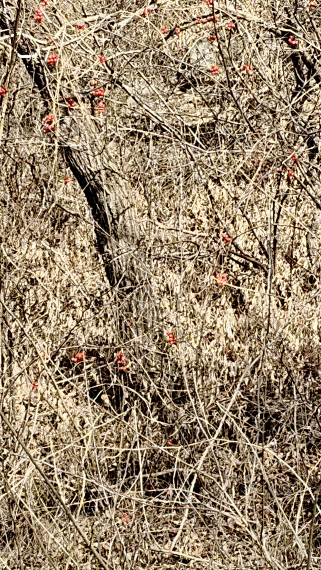 普京提出解决俄乌冲突方案
当地时间12月27日，俄罗斯总统普京在联合部队一指挥所