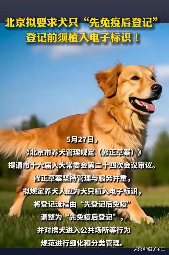 北京要求狗打疫苗才能上户口！这波操作，我举四个爪子赞成
北京拟出新规：犬只"先免