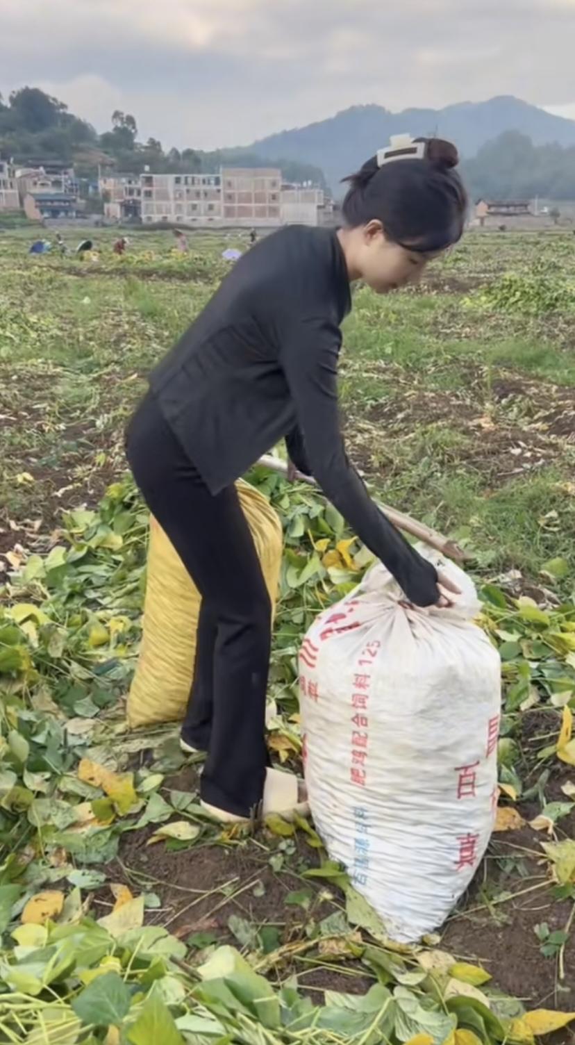 高考后怎么带孩子放松农村的下地干活，城市的找兼职工作？给有限的资金自助区旅游？
