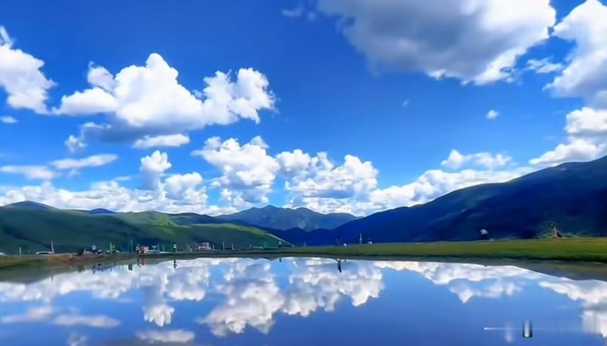 但说果实甜。
