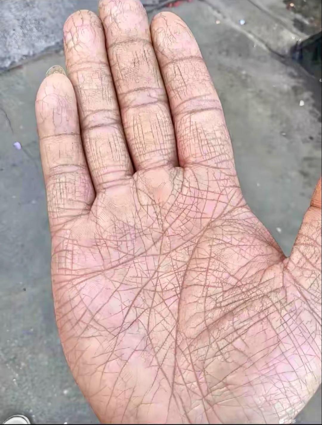 有懂看手相的人吗？帮忙看看这是什么命？
掌心纹路密密麻麻，看得眼花缭乱。
不图大