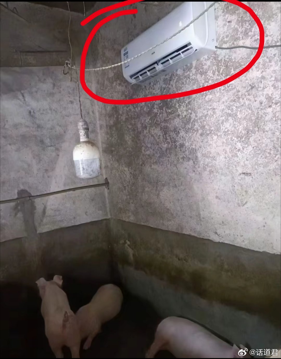 真的感谢互联网，让我们知道法国竟然是不能随意装空调，难以想象晚上翻来覆去睡不着的