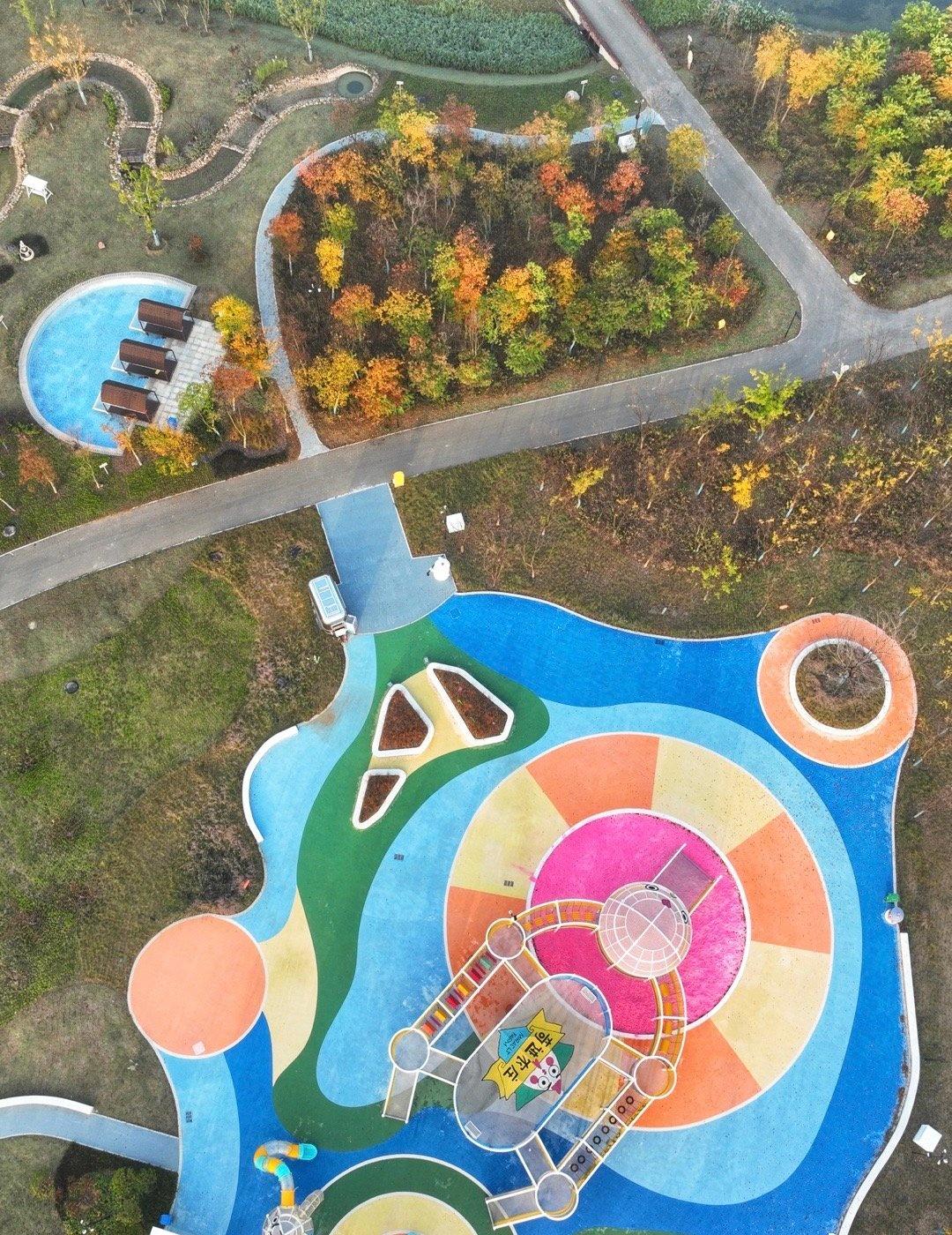 初冬暖阳 ​​​