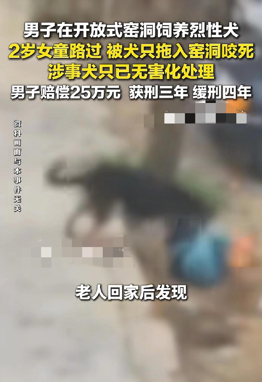 一条人命，25万，三年缓刑。这代价，轻得离谱。
5月19日，九派新闻报道，河南汝