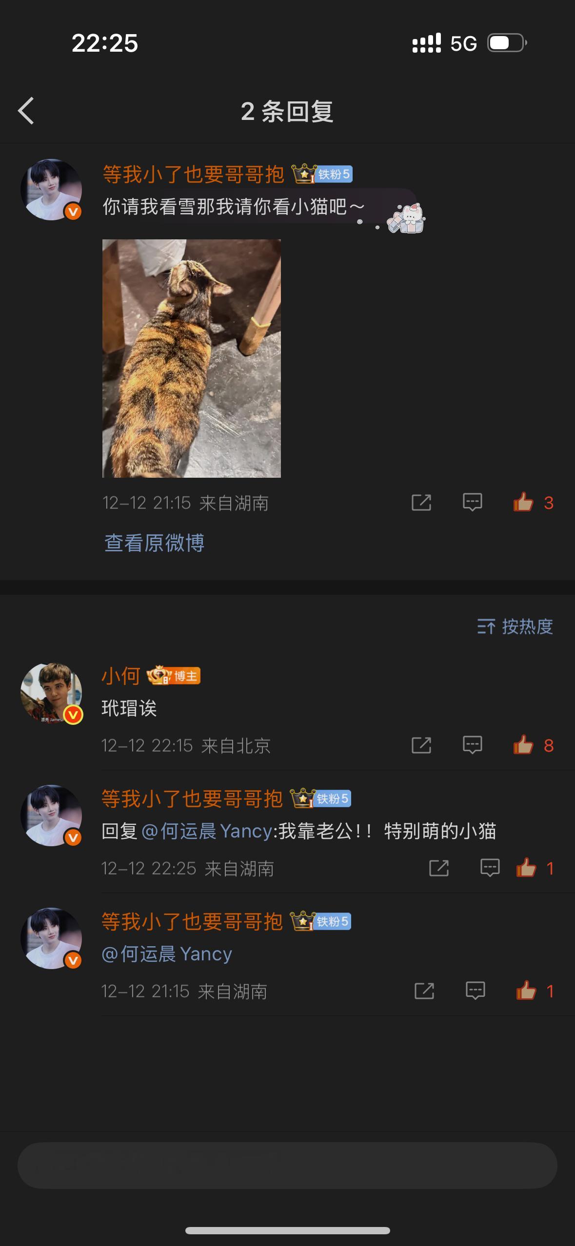 我爱小猫。 