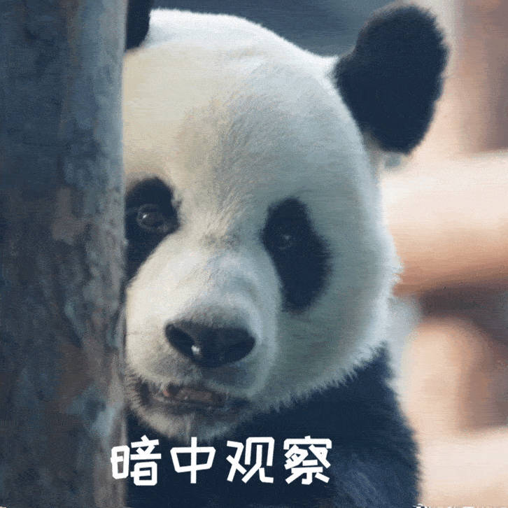 聊天必备表情包第492弹黑白小圆子（拿图吱声） ​​​