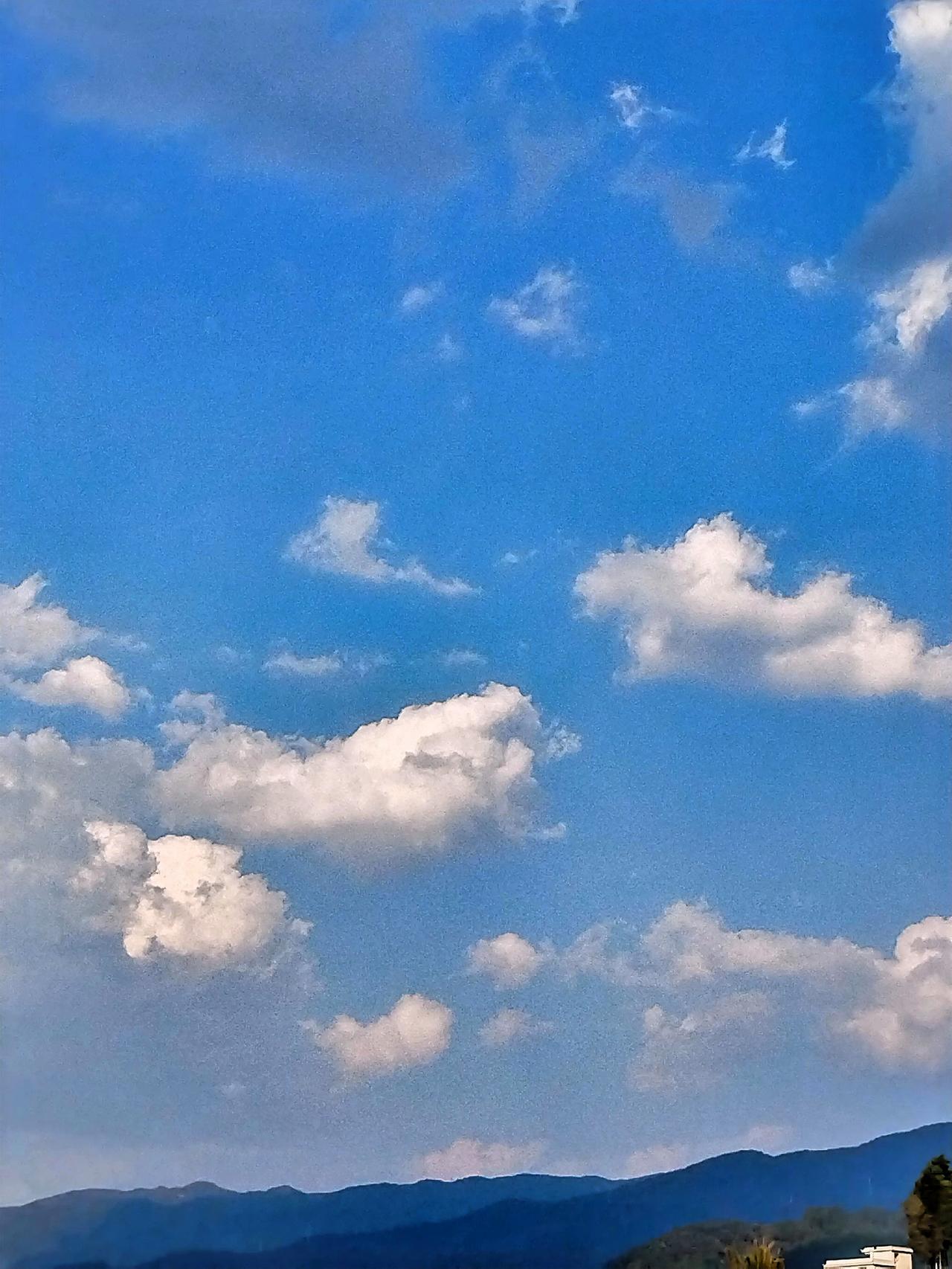 春日生活打卡季 春日生活打卡季开始啦，这可不是什么任务，而是和时光的温柔约会。春