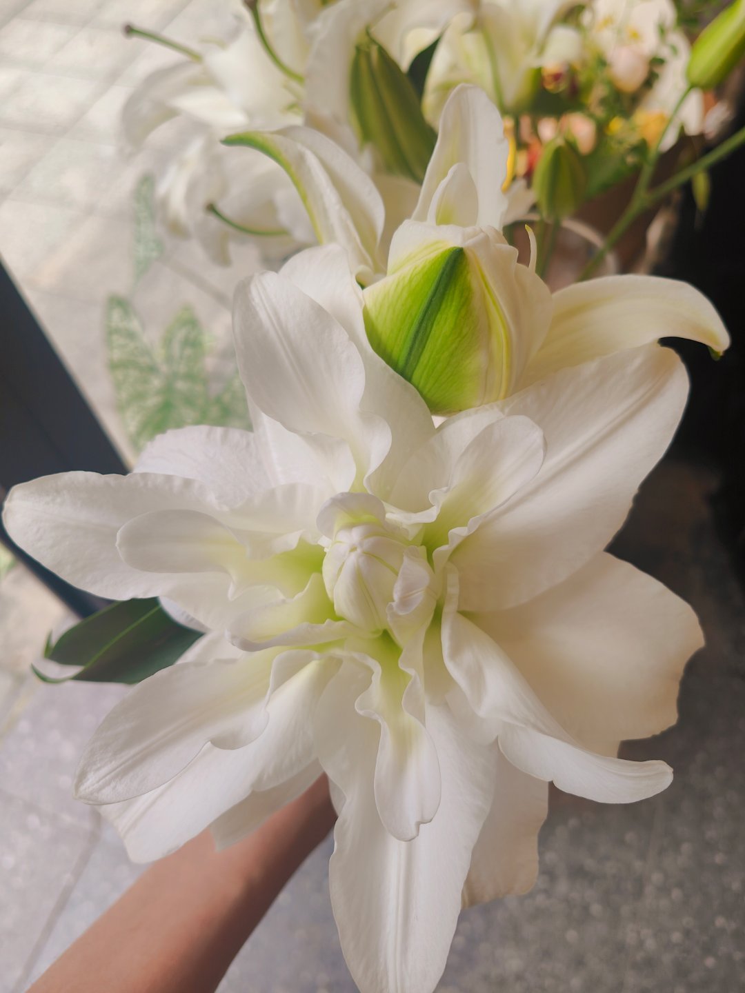 好喜欢，好美的重瓣百合。 