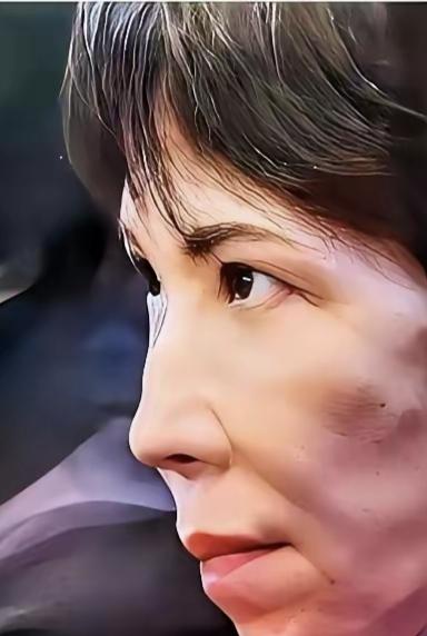 高市早苗身陷“抹黑门”丑闻
[烟花]“抹黑门”事件是指日本首相高市早苗的竞选团队