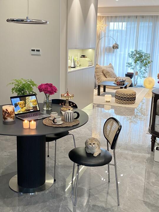 一人一猫100平小家🏠，独居生活真的太快乐啦