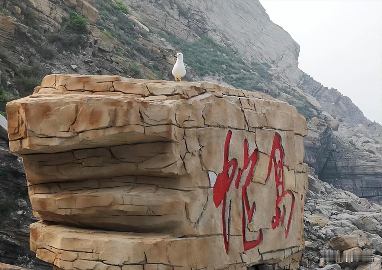 大连蛇岛（又称小龙山岛、蟒岛），位于辽宁省大连市旅顺口区西北的渤海海域，是全球独