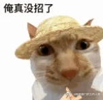 当我一睁眼感觉浑身得劲，我就知道我又起晚啦啊啊啊啊 