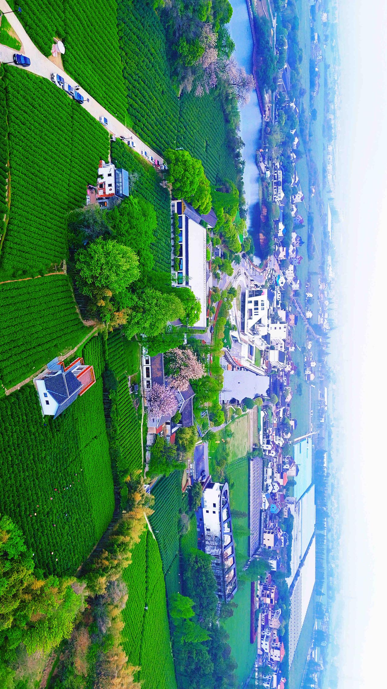 一盏茶泡开春天，
一座塔守望江南～

📍嘉兴