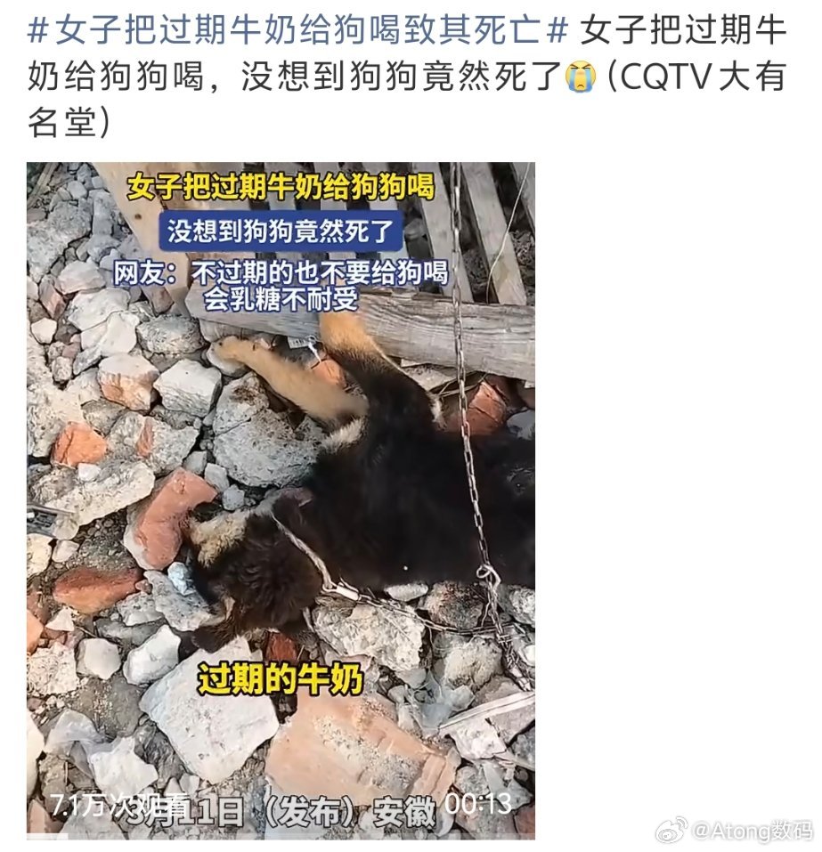 女子把过期牛奶给狗喝致其死亡不如不喂一条生命就这样没了 