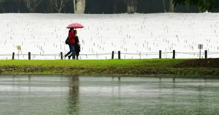 大雨+寒潮预警 !杭州这天开始气温爆降！网友惊叹：太短了...