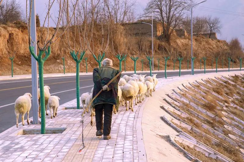 你如何看待职场顺手牵羊行为 职场顺手牵羊行为真的很让人无语。这种事在职场还挺常见