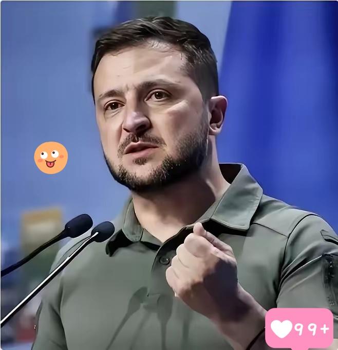 泽连斯基当面给美特使划了条红线：领土问题，你不够格谈
​当地时间9月6日，泽连斯