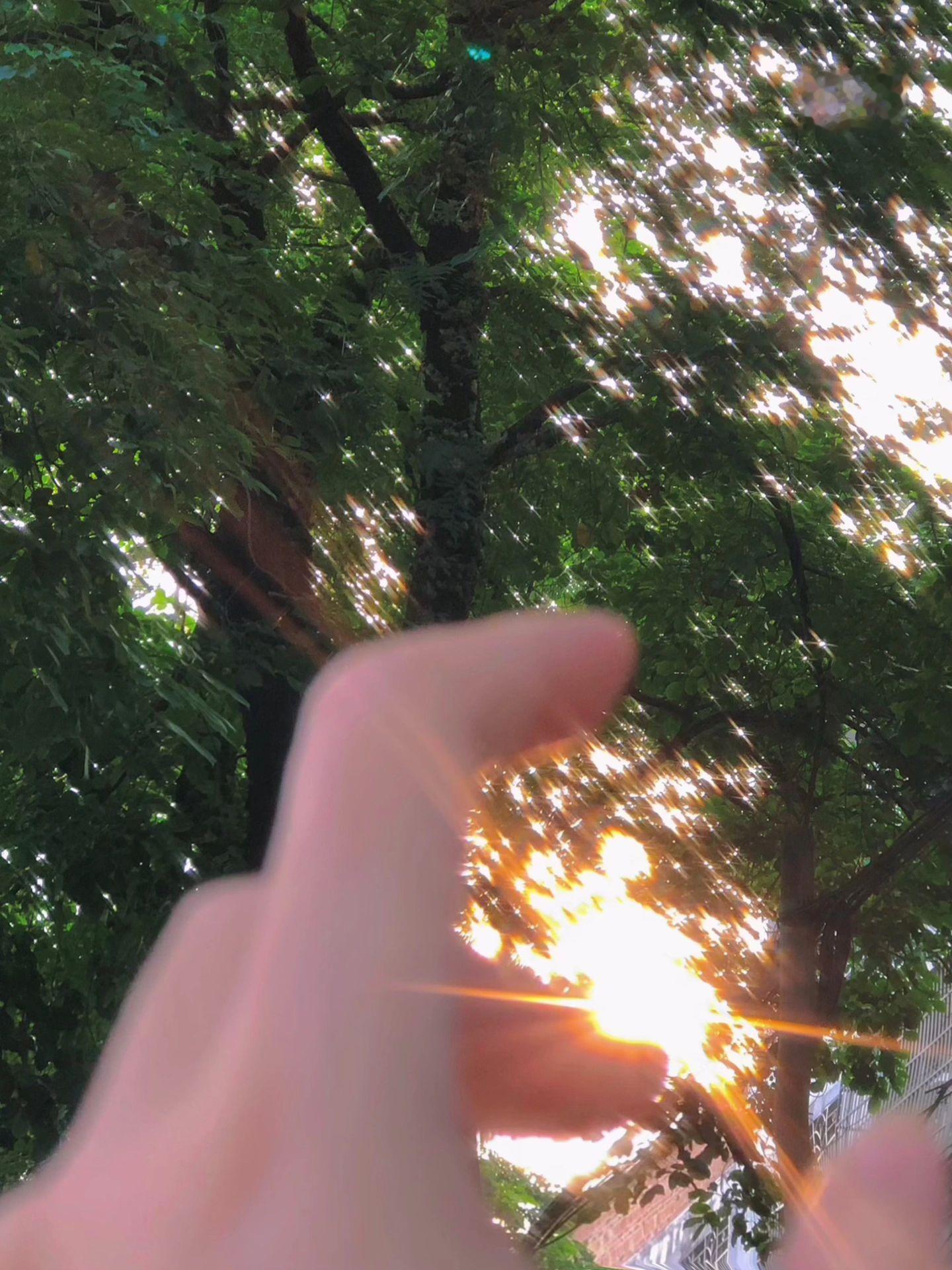 看 总有光照进来 