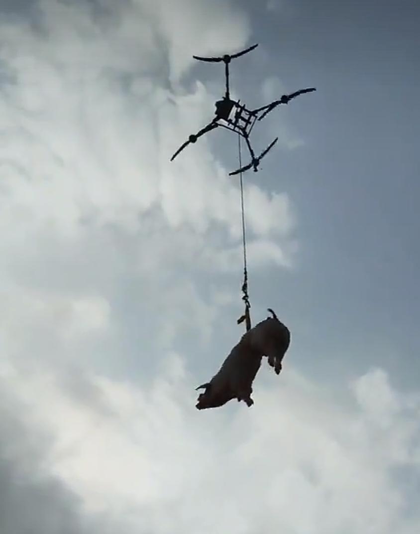 开个玩笑，可能是江南的大家族，每年祭祖都非常的盛大，今年为了省事儿，就用上了高科