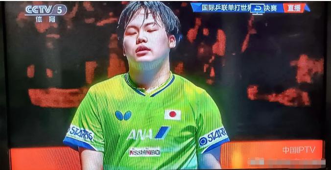 松岛辉空应该算是，目前世界乒坛上最没教养，最不讲公共礼仪的一个人。

输了球丑态