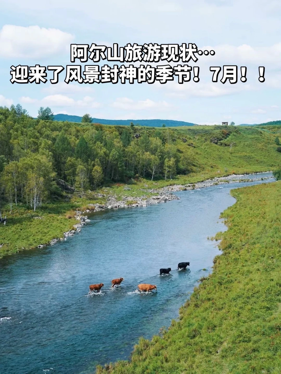 2026.8.1📆 阿尔山旅行现状！！！