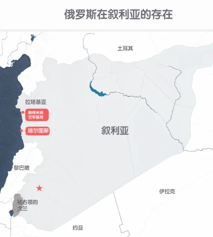 国家利益和荣誉将会使俄罗斯在中东和非洲做出进一步的努力、让步和平衡。强人普京知道