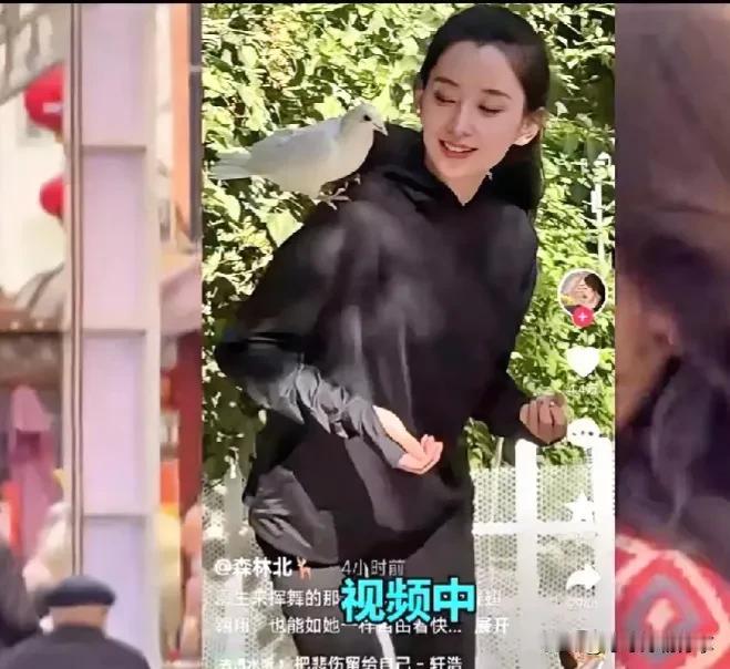 #理想家生活#汪峰新女友开心喂鸽子，森林北造型大变撞脸章子怡，防晒服引热议，森林