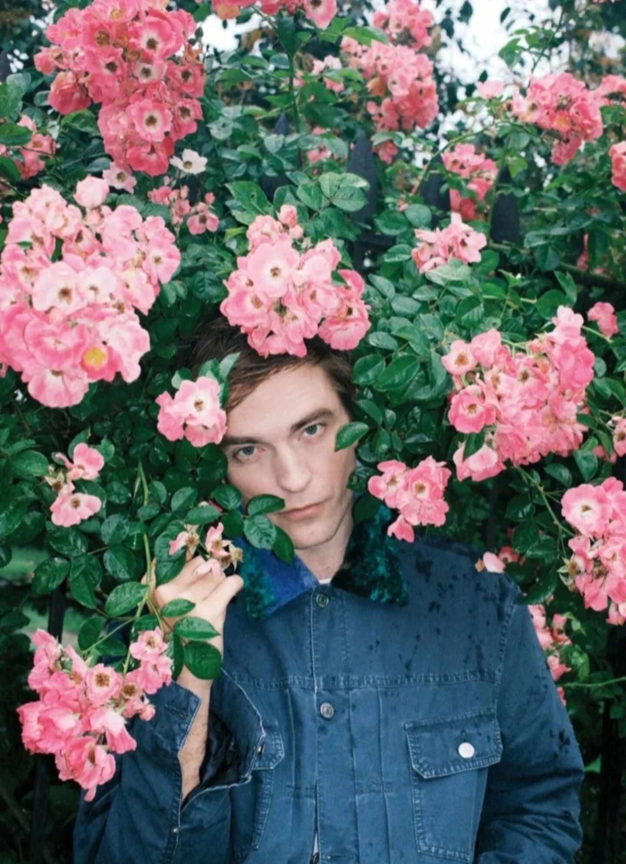 花期超长的哈利波特
最早注意到罗伯特是在哈利波特电影里面，当时他只是一个配角。后