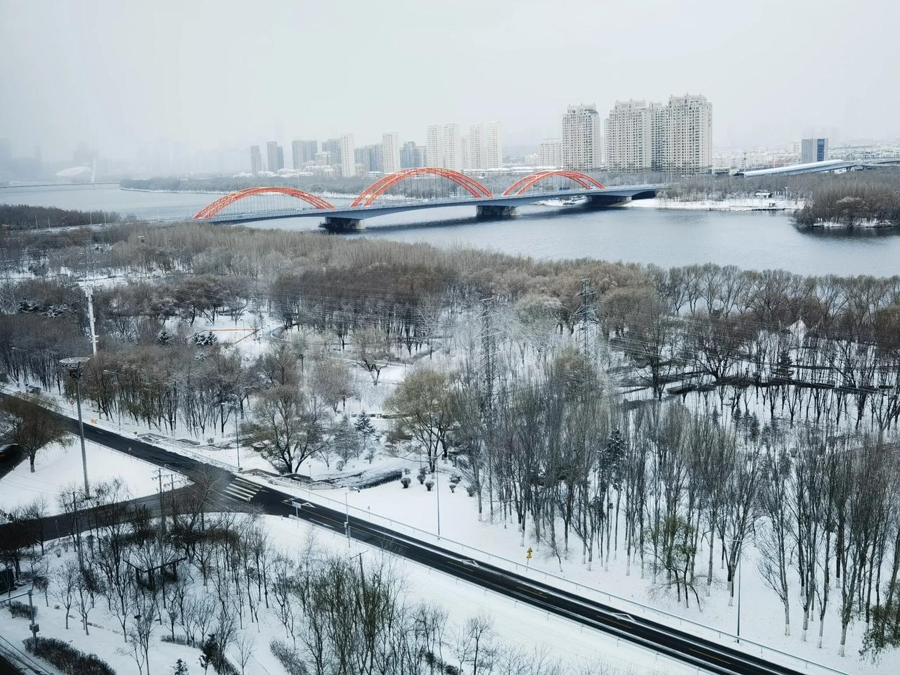 说起来，2024 年沈阳的第一场雪可太特别啦！\n16 时 20 分许，伴着零星