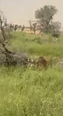 【黎巴嫩无人机数量越多，对以色列的打击效果就越好】

在黎巴嫩-以色列战线上，F