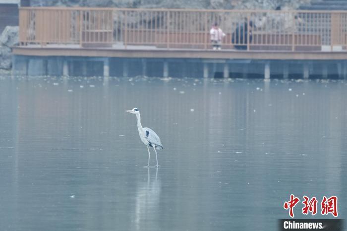 北京冻到破零！比常年早19天，南北冰火两重天：气候真的乱套了？
 
家人们！北京