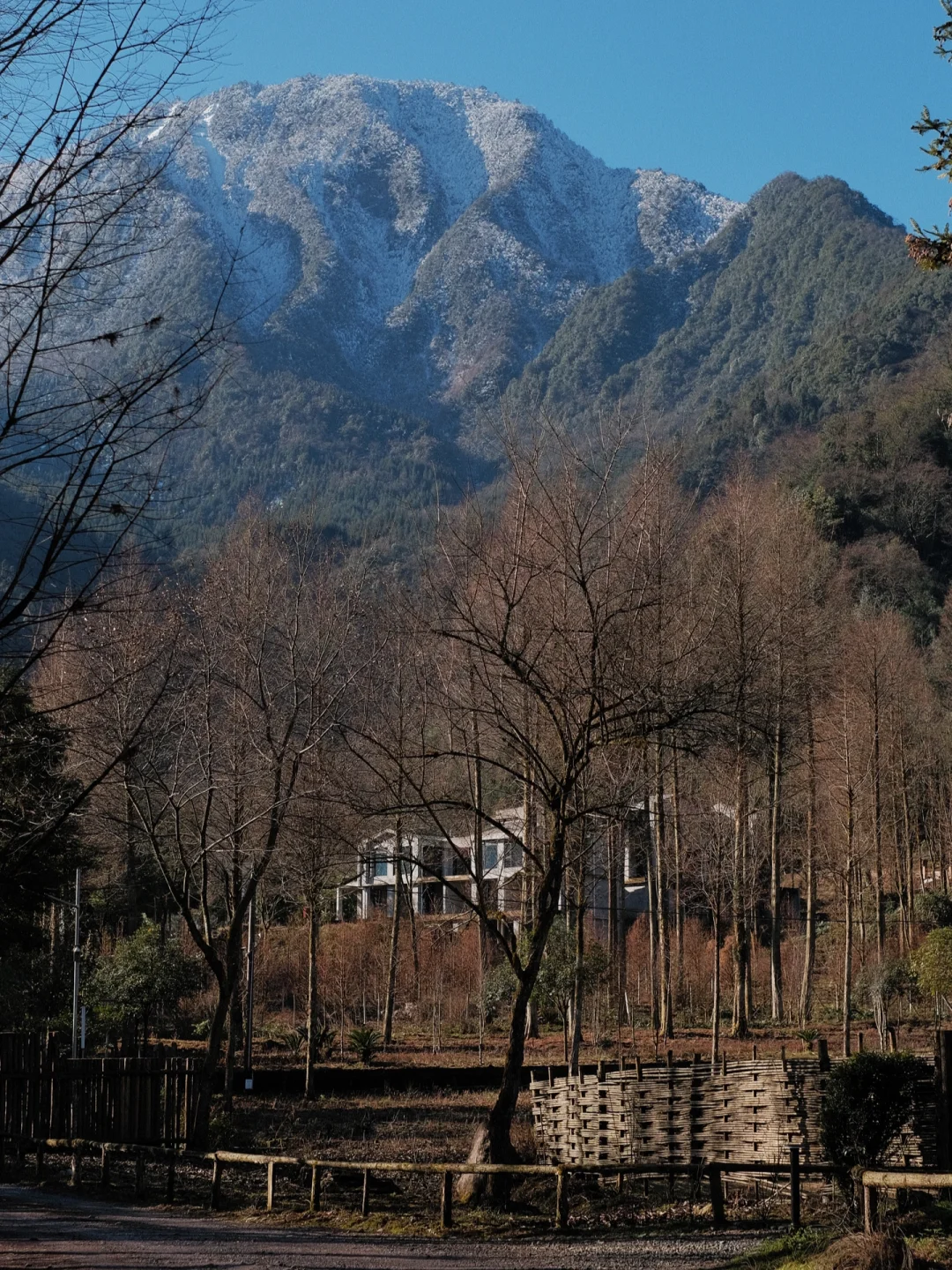 冬天就要躺在山里晒太阳☀️