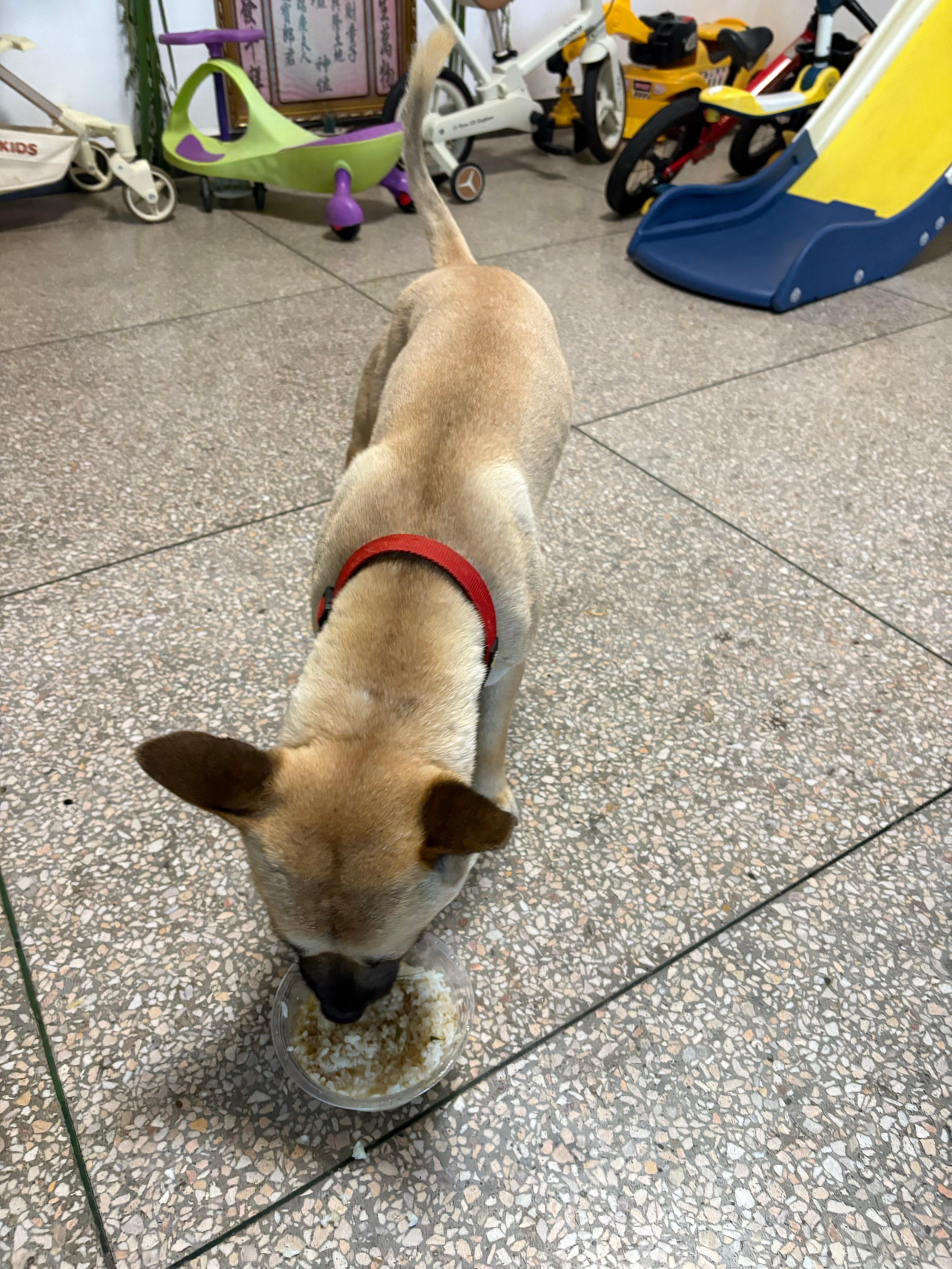 开饭啦 