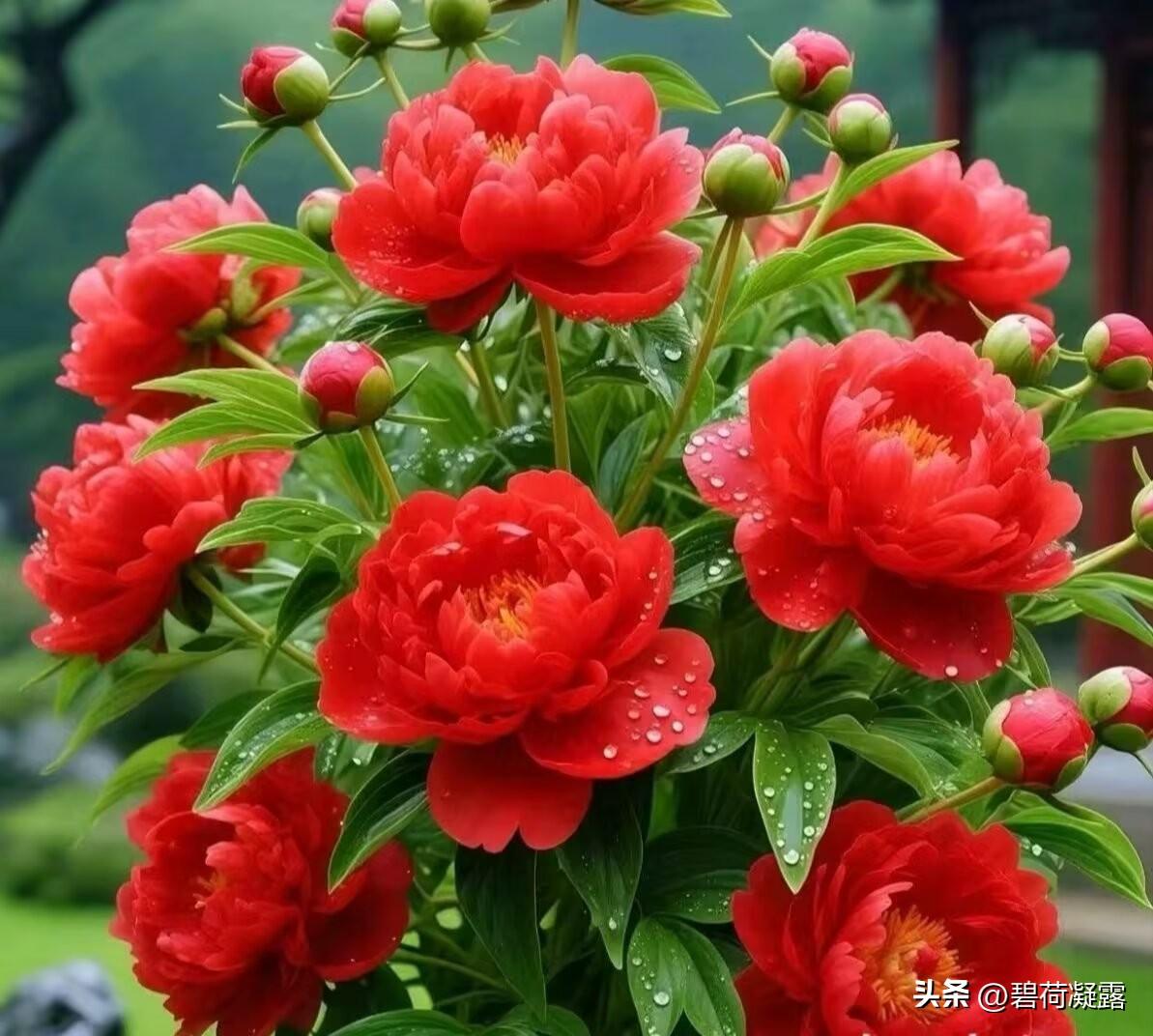 三月的春风吹来了又一个逐梦的花季，莺飞草长、百花齐放，我们去踏青吧，去赴春约，去